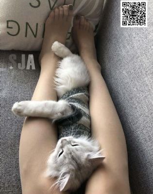 乡村爱情17部电视连续剧